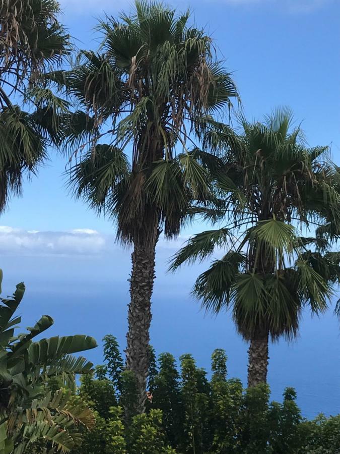 Playa Bonita Apartman Caleta de Interián Kültér fotó